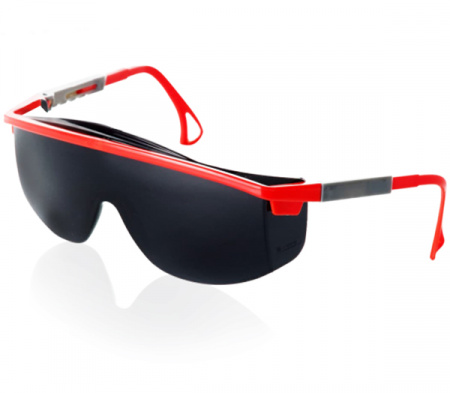 Очки защитные PROFI темные KN